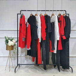 2019新款洋氣百搭女裝衛(wèi)衣 廠家直接批發(fā)，品牌折扣盡享